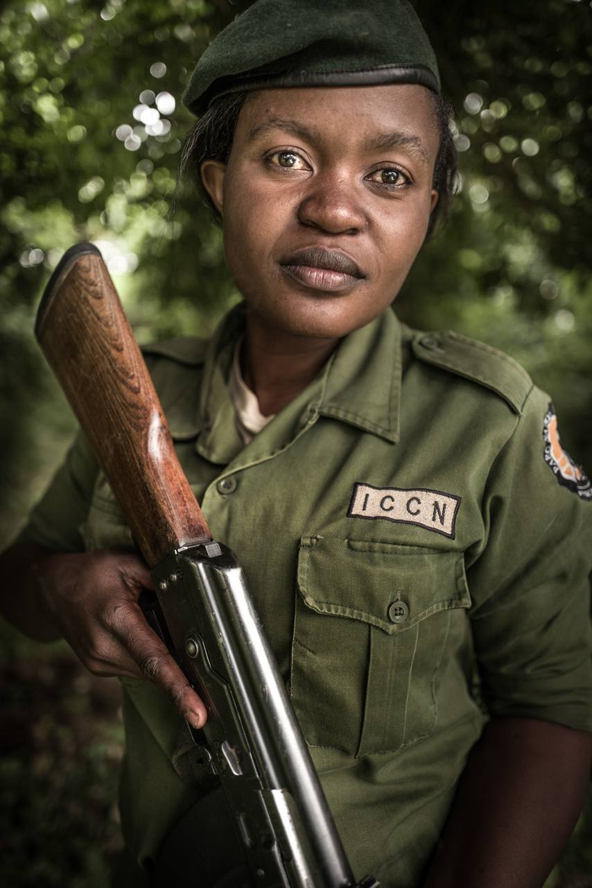 Virunga, DR Congo